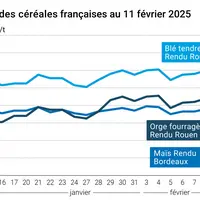 Graphique prix blé orge maïs France au 11 février 2025