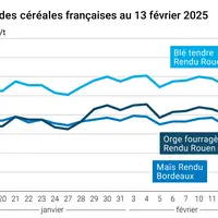 Graphique prix blé orge maïs France du 13 février 2025