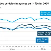 Graphique prix blé orge maïs France du 14 février 2025