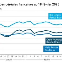 Graphique prix blé orge maïs France au 18 février 2025