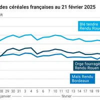 Graphique prix blé orge maïs France au 21 février 2025