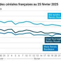 Graphique prix blé orge maïs France du 25 février 2025