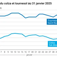 Graphique prix colza tournesol France du 31 janvier 2025
