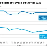 Graphique prix colza tournesol France au 6 février 2025