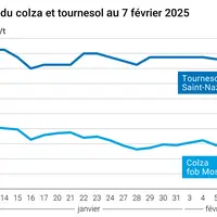 Graphique prix colza tournesol France au 7 février 2025
