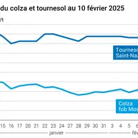 Graphique prix colza tournesol France au 10 février 2025