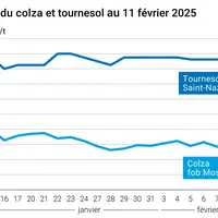 Graphique prix colza tournesol France au 11 février 2025