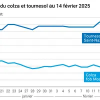 Graphique prix colza tournesol France au 14 février 2025