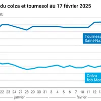Graphique prix colza et tournesol France au 17 février 2025