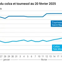Graphique prix colza tournesol France du 20 février 2025