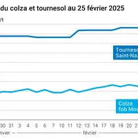 Graphique prix colza tournesol France au 25 février 2025
