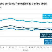 Graphique prix blé orge maïs français au 3 mars 2025