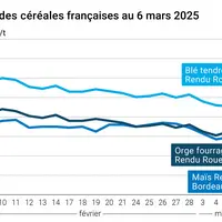 Graphique prix blé maïs orge France au 6 mars 2025