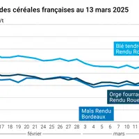 Graphique prix blé orge maïs France du 13 mars 2025