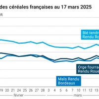 Graphique prix blé orge maïs France du 17 mars 2025