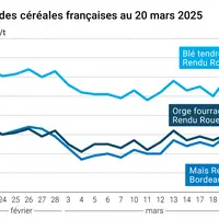 Graphique prix blé orge maïs France du 20 mars 2025