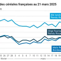 Graphique prix blé orge maïs France du 21 mars 2025