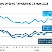 Graphique prix blé orge maïs France du 24 mars 2025