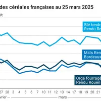Graphique prix blé orge maïs France du 25 mars 2025