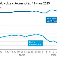 Graphique prix colza tournesol France du 11 mars 2025