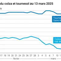 Graphique prix colza tournesol France du 13 mars 2025