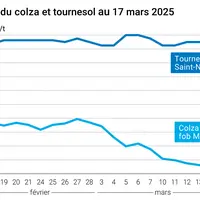 Graphique prix colza tournesol France du 17 mars 2025