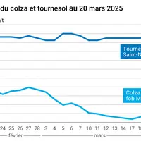 Graphique prix colza tournesol France du 20 mars 2025