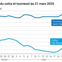 Graphique prix colza tournesol France du 21 mars 2025