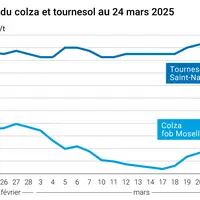 Graphique prix colza tournesol France du 24 mars 2025