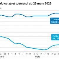 Graphique prix colza tournesol France du 25 mars 2025