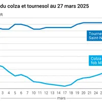 Graphique prix colza tournesol France du 27 mars 2025