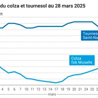 Graphique prix colza tournesol France du 28 mars 2025