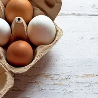 Boite à œufs