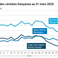 Graphique prix blé orge maïs France du 31 mars 2025