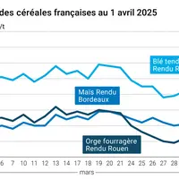 Graphique prix blé orge maïs France du 1er avril 2025