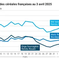 Graphique prix blé orge maïs France du 3 avril 2025