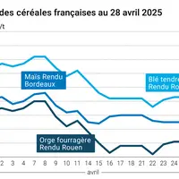 Graphique prix blé orge maïs France au 28 avril 2025