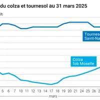 Graphique prix colza tournesol France du 31 mars 2025