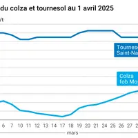 Graphique prix colza tournesol France du 1er avril 2025