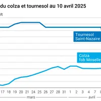 Prix du colza rendu Rouen et du tournesol rendu Saint Nazaire