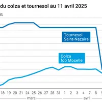 Prix du colza rendu Rouen et du tournesol rendu Saint Nazaire