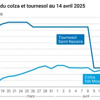 Prix du colza rendu Rouen et du tournesol rendu Saint Nazaire