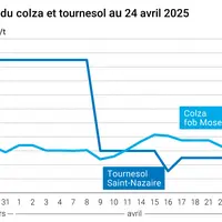 Prix du colza rendu Rouen et du tournesol rendu Saint Nazaire