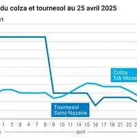 Prix du colza rendu Rouen et du tournesol rendu Saint Nazaire