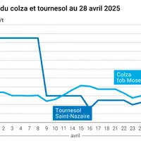 Graphique prix colza tournesol France au 28 avril 2025