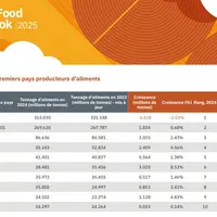 Tableau de la production des dix premiers pays producteurs d'aliments composés en 2024.
