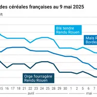 Graphique prix blé orge maïs France du 9 mai 2025