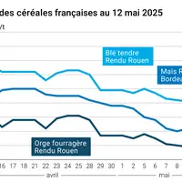 Graphique prix blé orge maïs France du 12 mai 2025