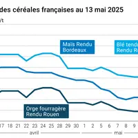 Graphique prix blé orge maïs France du 13 mai 2025