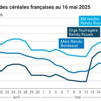 Graphique prix blé orge maïs France du 16 mai 2025